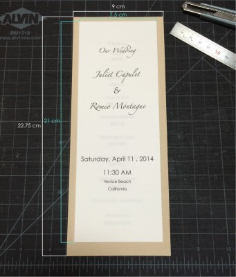 [d.i.y.] tulle veiled wedding programs-2