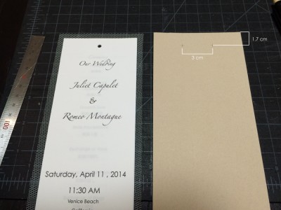 [d.i.y.] tulle veiled wedding programs-5