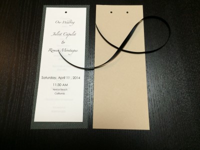 [d.i.y.] tulle veiled wedding programs-6