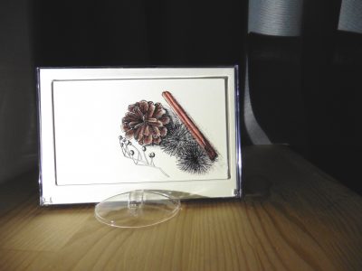 [SHOPS] 2017 ILLUSTRATED CALENDAR
